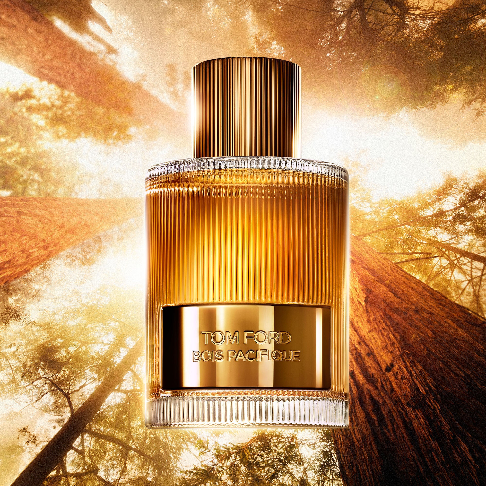 Bois Pacifique Eau De Parfum Fragrance