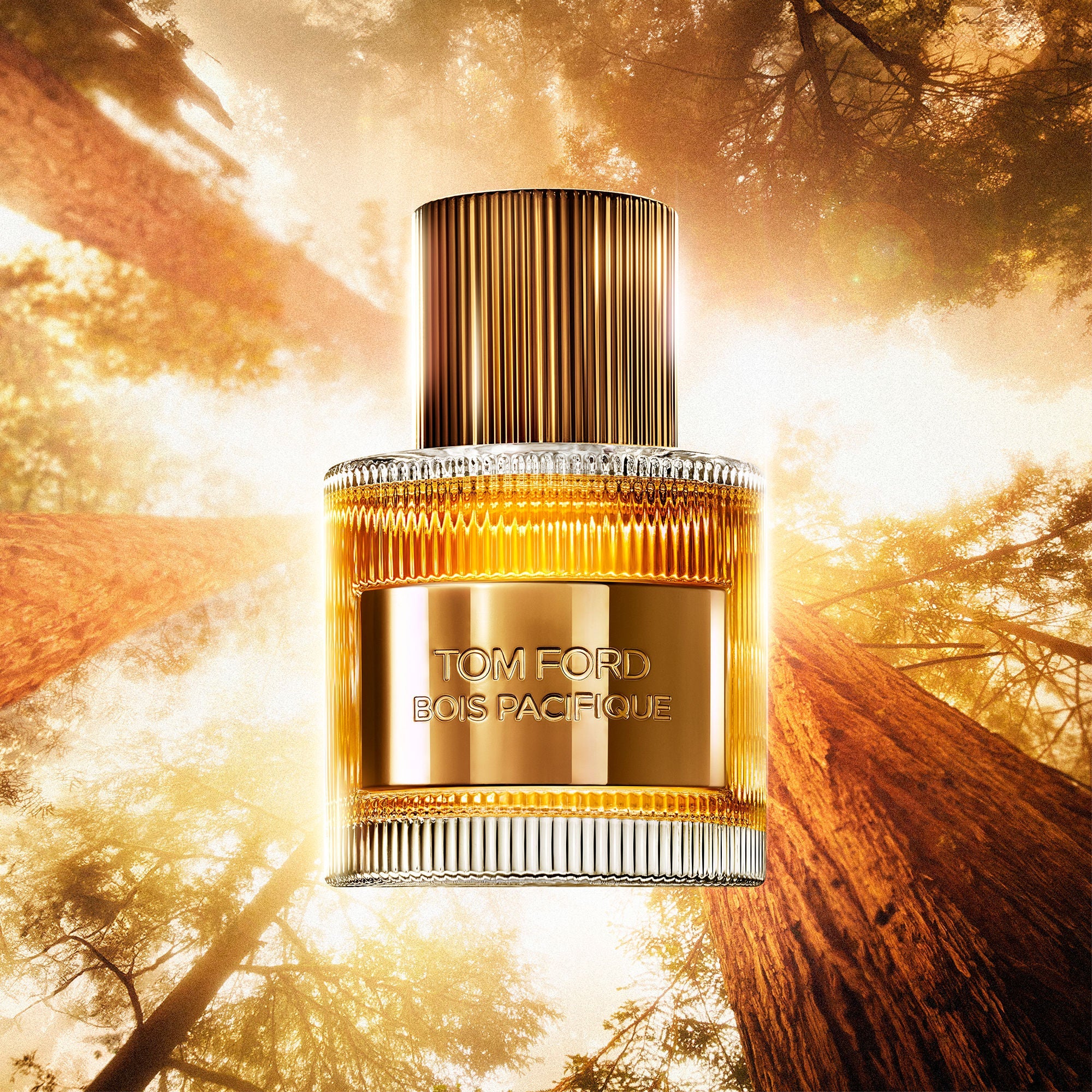 Bois Pacifique Eau De Parfum Fragrance