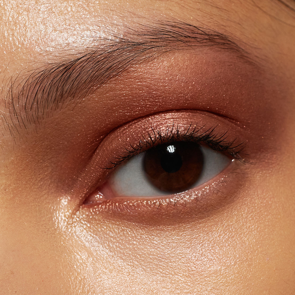 Pretty Shady Pressed Pigment