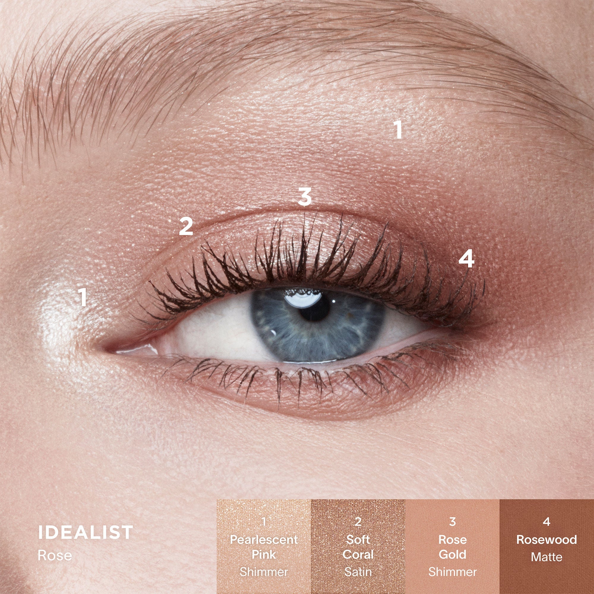 Curator Eyeshadow Palette