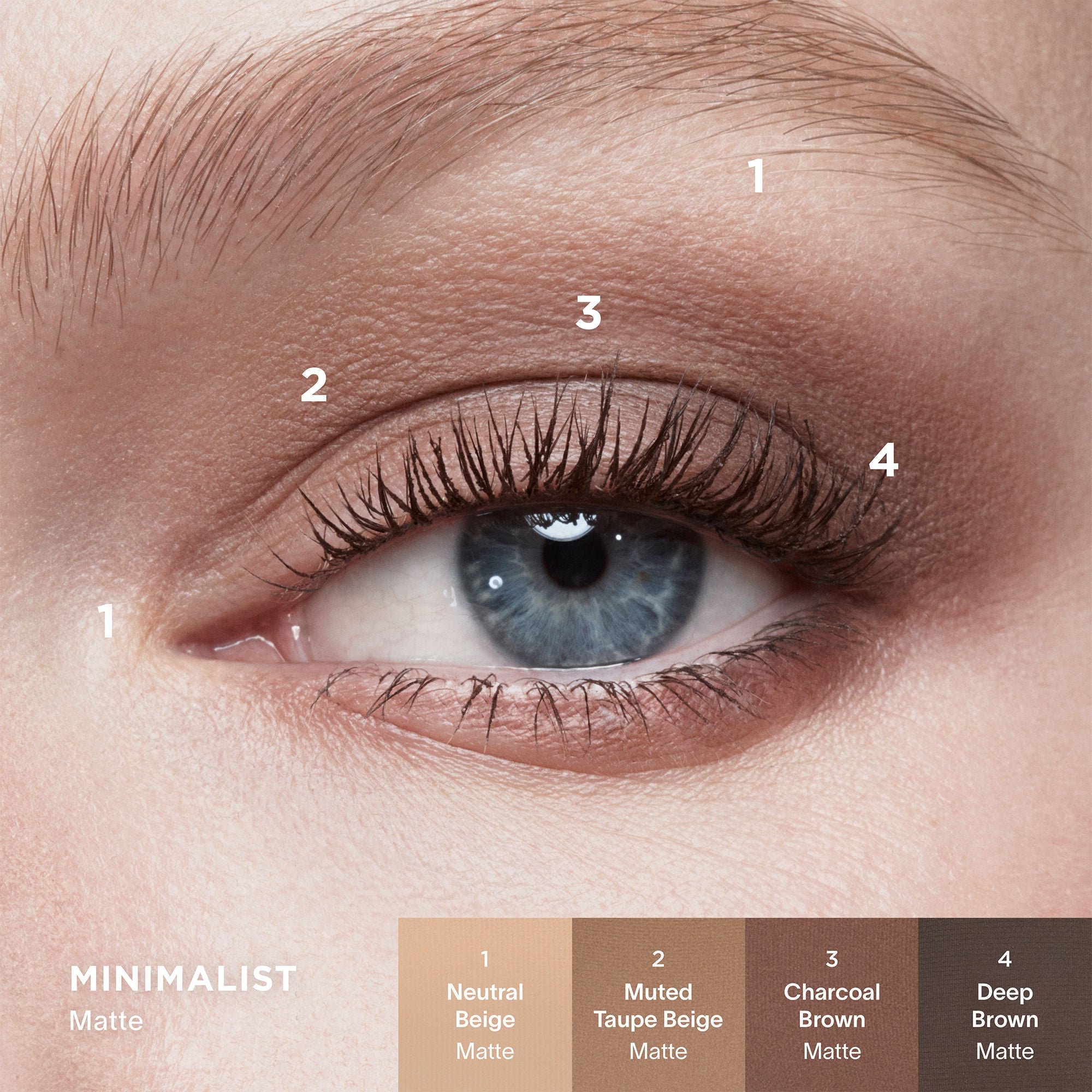 Curator Eyeshadow Palette