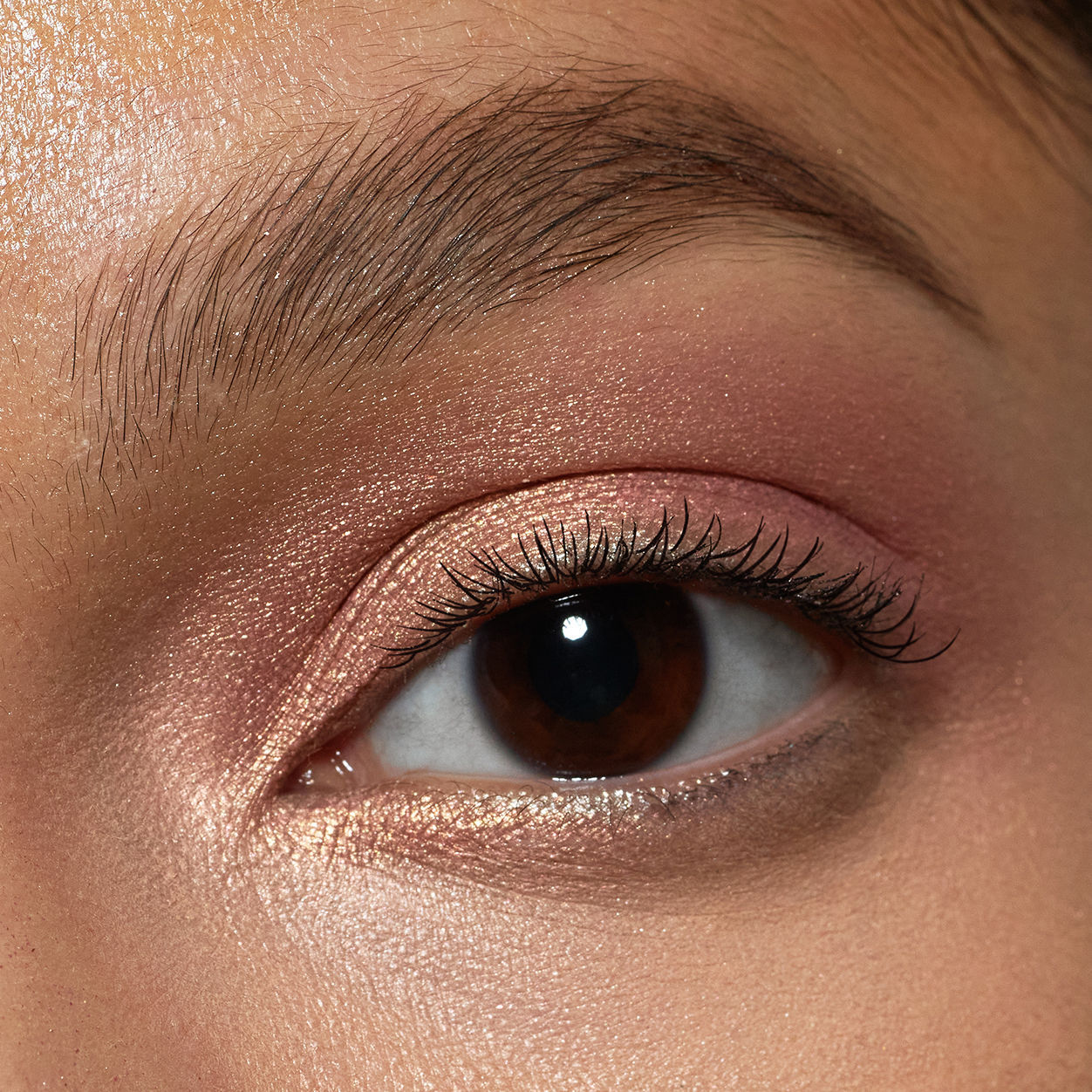 Pretty Shady Pressed Pigment