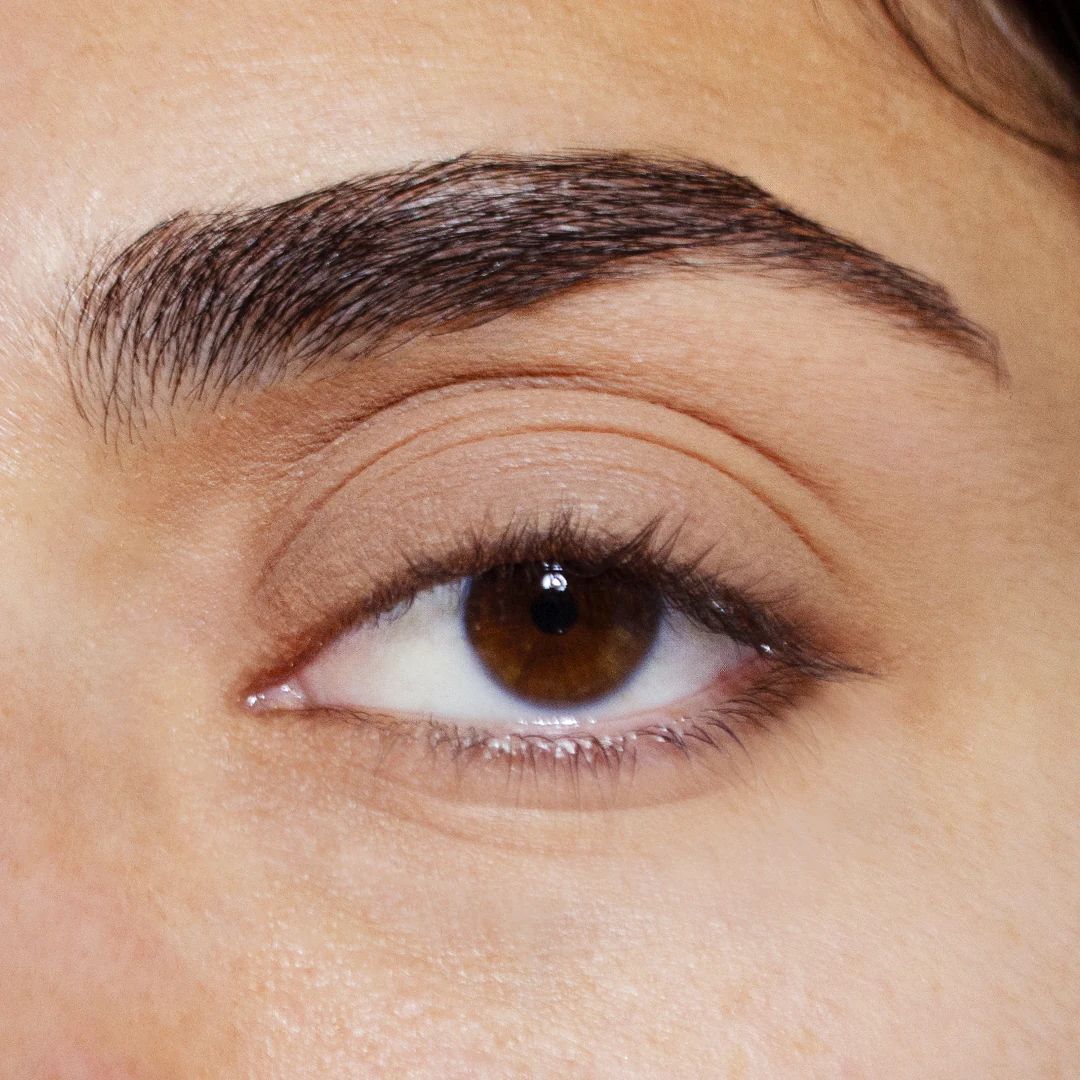 Pretty Shady Pressed Pigment