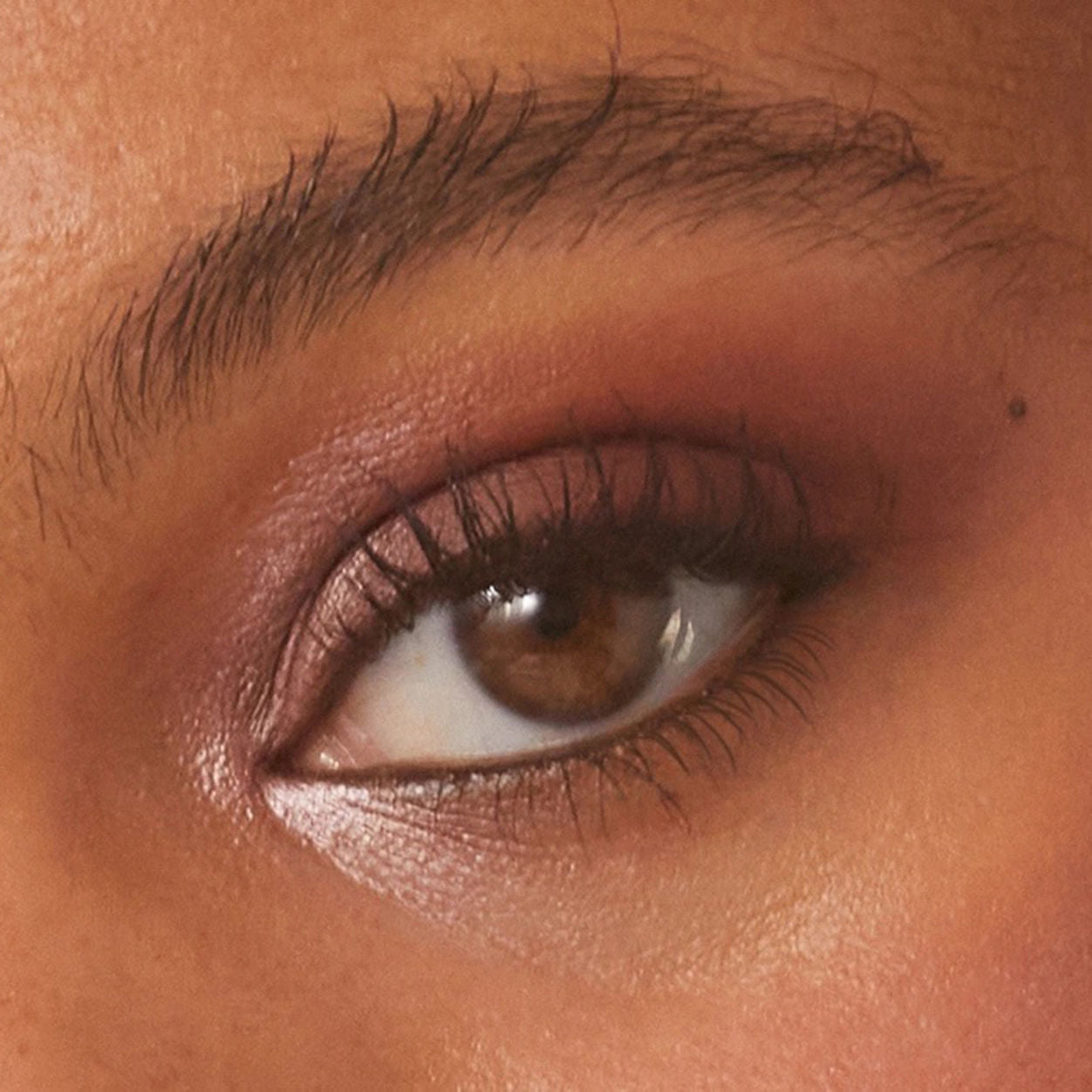 Pretty Shady Pressed Pigment Trio