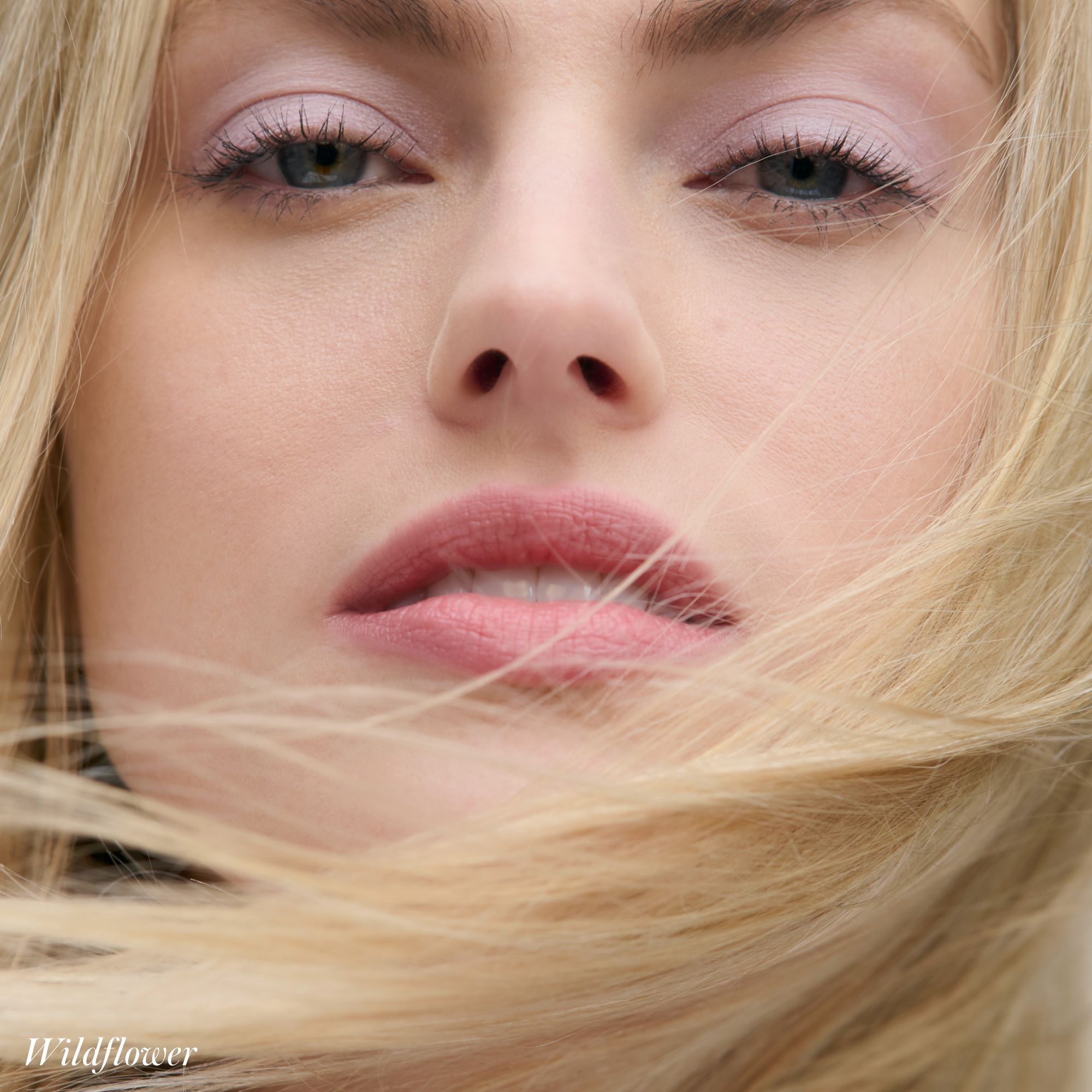 Cashmere Matte Eyelights