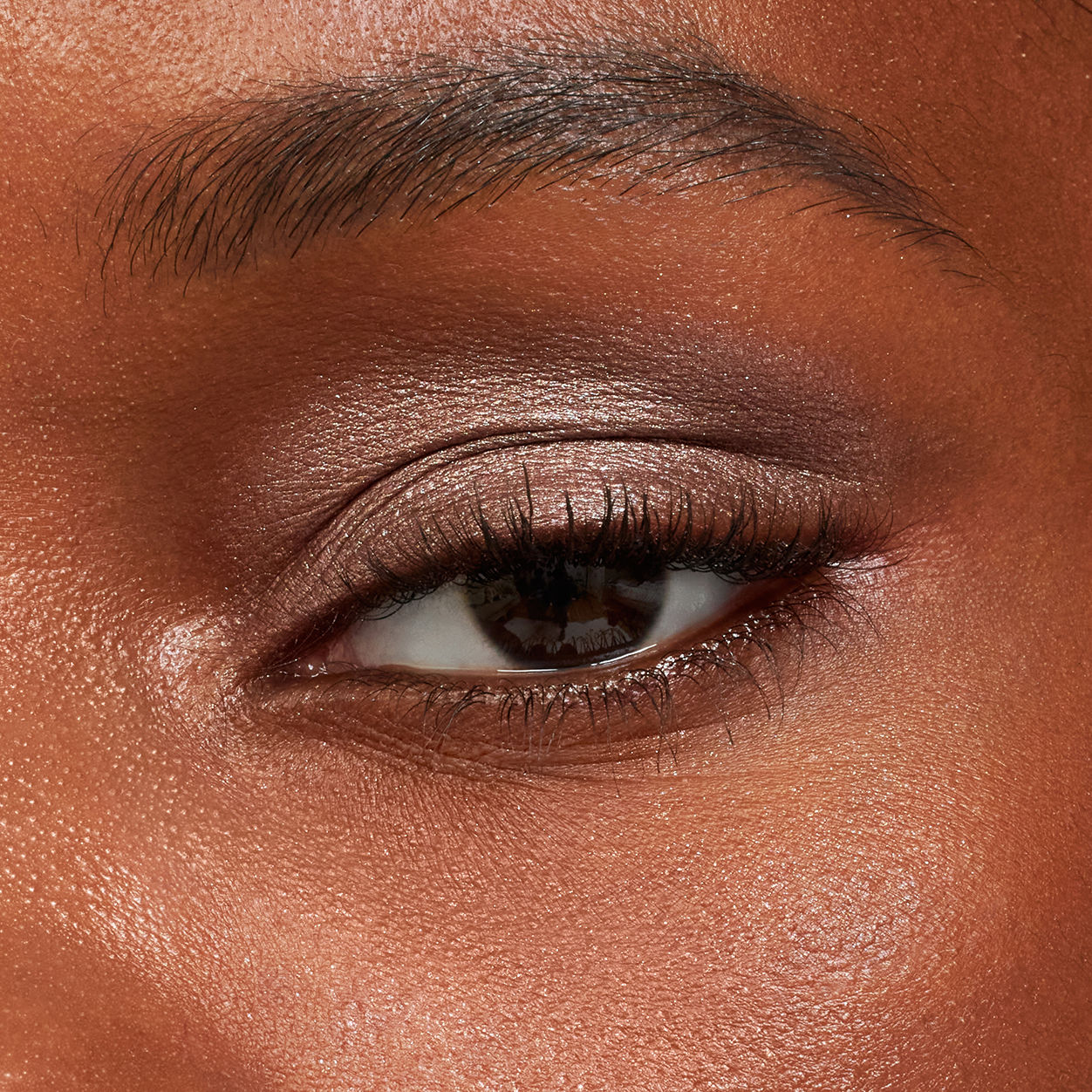 Pretty Shady Pressed Pigment